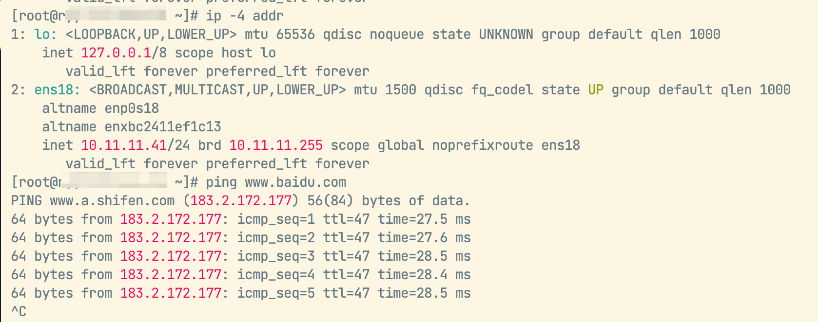 image-20260210150459234